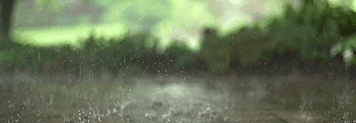 🍂💦¡Aquesta tardor, pluja de projectes! 💦🍂
