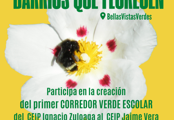 Imatge de capçalera de Barrios que florecen