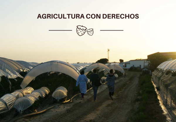 Imatge de capçalera de Agricultura con derechos