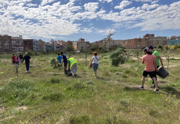 Imatge de capçalera de Bosque Urbano Málaga