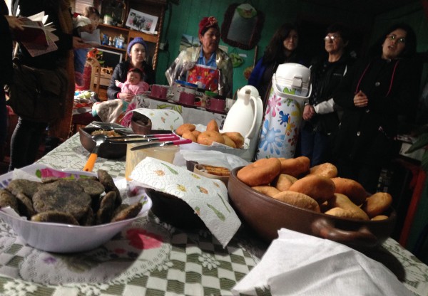 Imatge de capçalera de Ruta de la Nalca: Turismo Culinario Comunitario Mapuche en Nahuelbuta