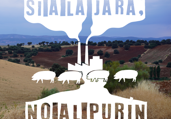 Imatge de capçalera de Campaña 