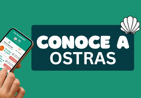 Imatge de capçalera de Ostras