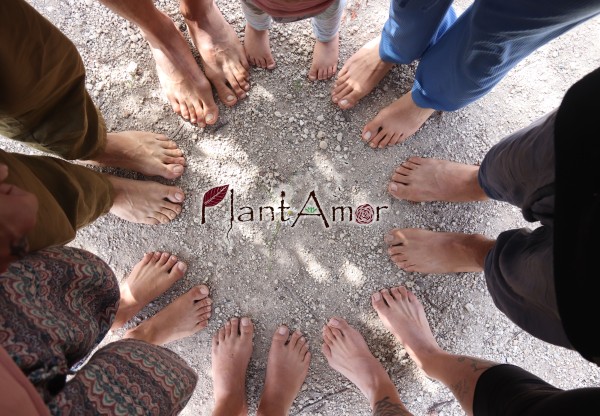 Imatge de capçalera de Support the Plantamor community land purchase!