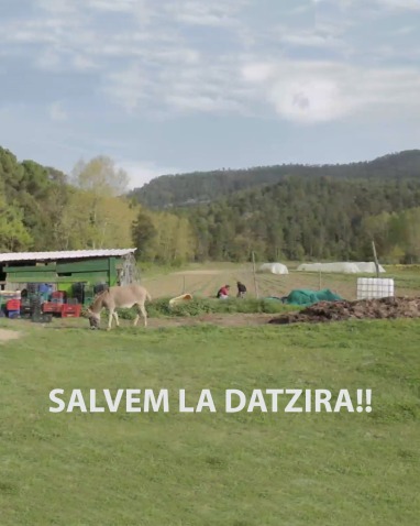 Imatge de capçalera