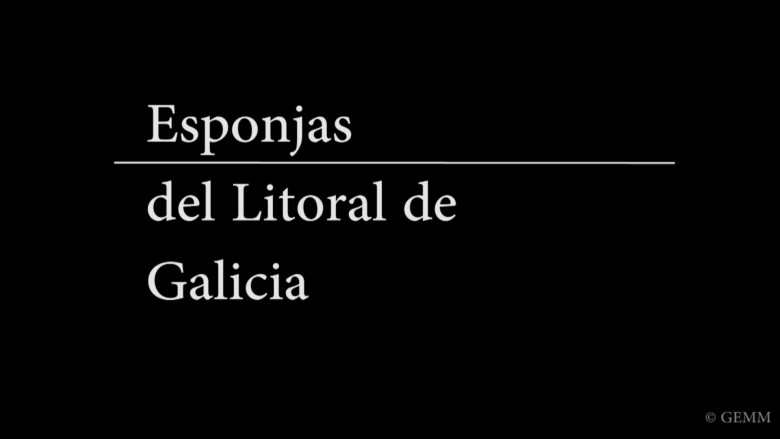 Imatge de capçalera