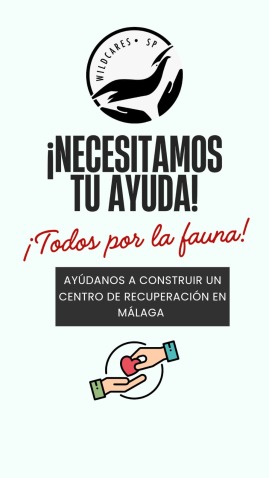 Imatge de capçalera